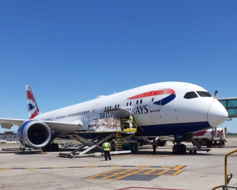 IAG Cargo boosts Caribbean and Latam space for the summer 