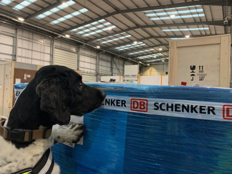 DB Schenker’s detection dogs are a howling success