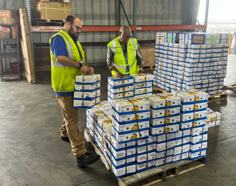 Mangoes go well on American Cargo