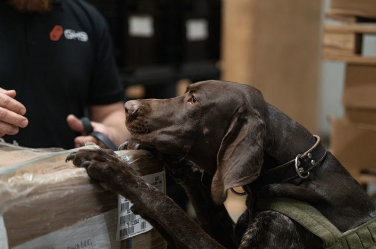 Global K9 extends WFS screening services