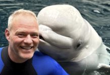 Dennis Christen beings animal expertise to Intradco