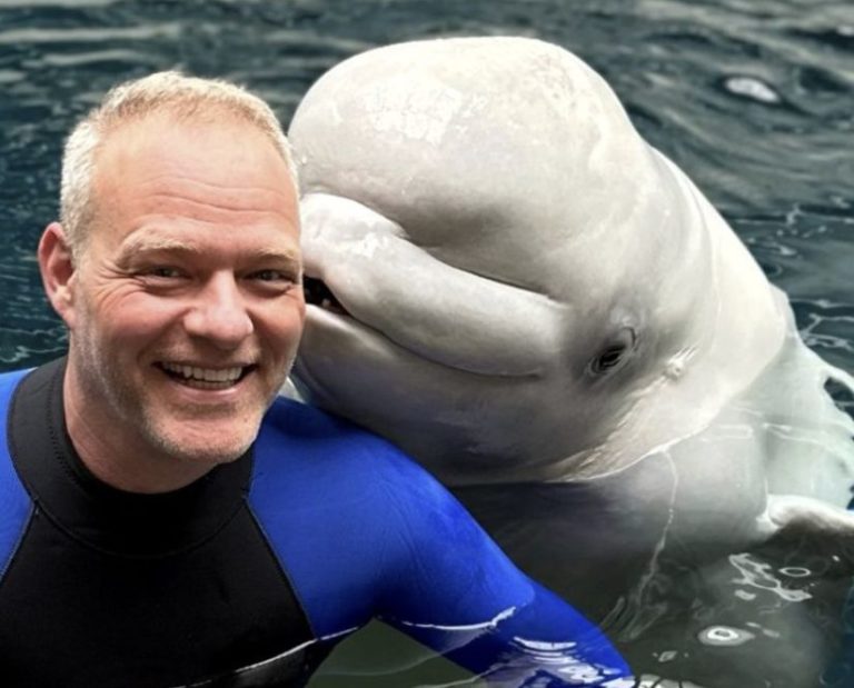 Dennis Christen beings animal expertise to Intradco