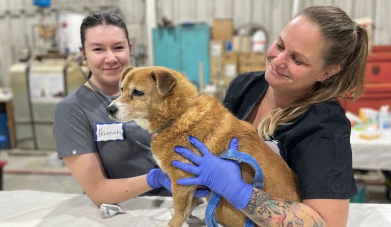 WestJet-set vets reach the parts other carers can’t