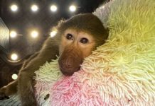 DHL thinks outside the box