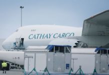 Flying horses to Hong Kong