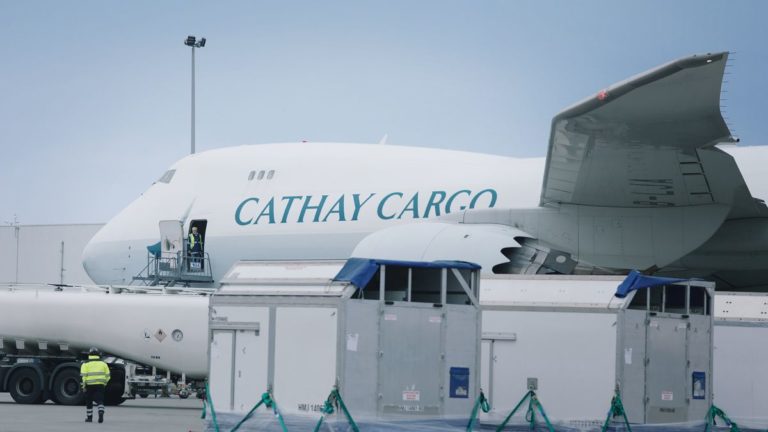 Flying horses to Hong Kong