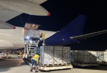 Blueberries to the Big Apple