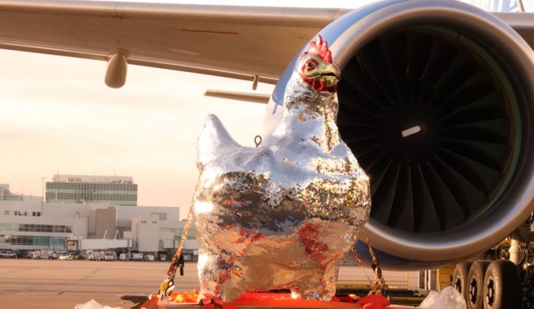 Funky Chicken takes flight