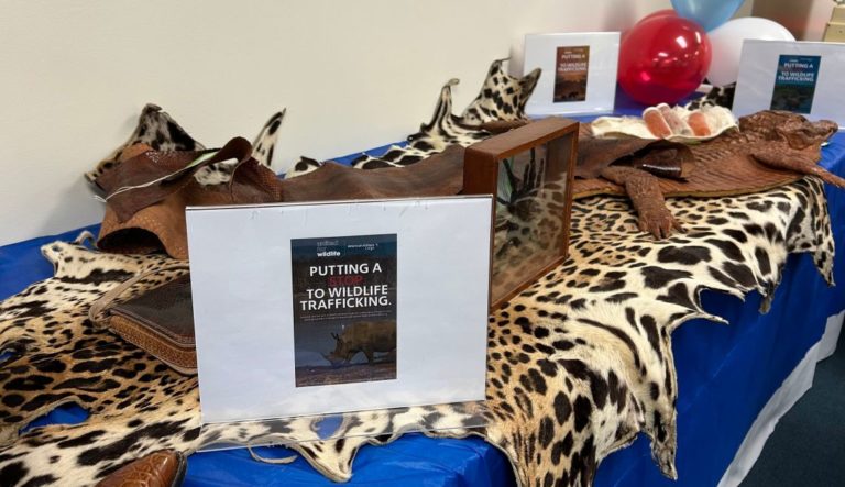 American Airlines reaffirms wildlife pledge