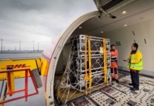 DHL Express gets heavy