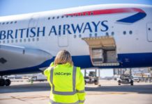 Immerse yourself in the world of air cargo