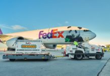 A free ride with FedEx for Ping Ping and Fu Shuang